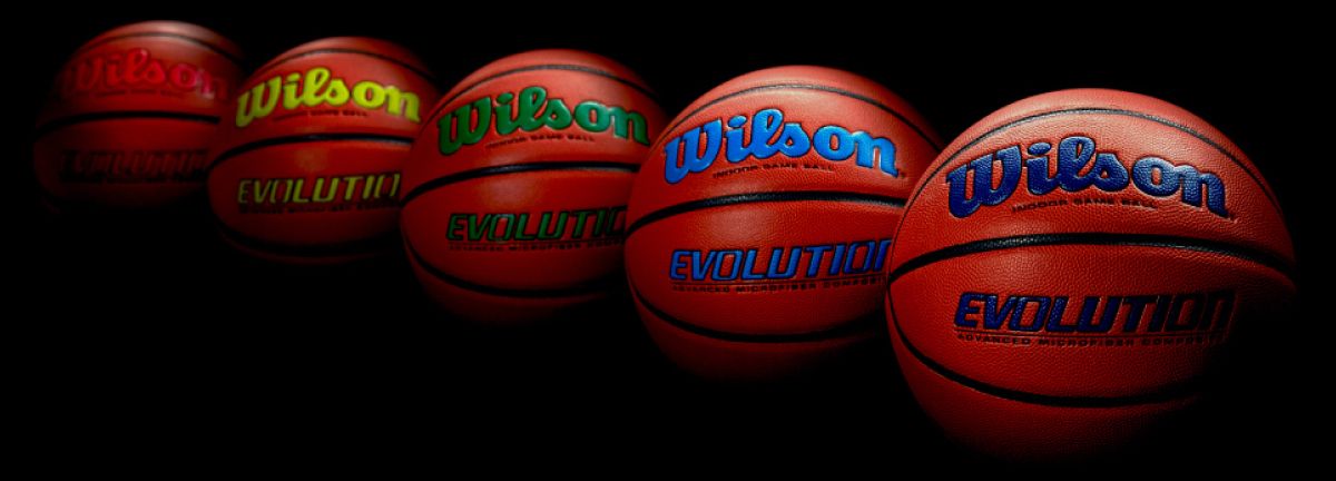 Wilson Evolution Official Basketball | Dick's Sporting Goods